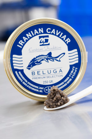 Apri immagine nella presentazione, Beluga Iraní 000
