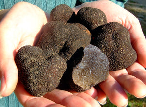 Open image in slideshow, PREMIUM winter truffle
